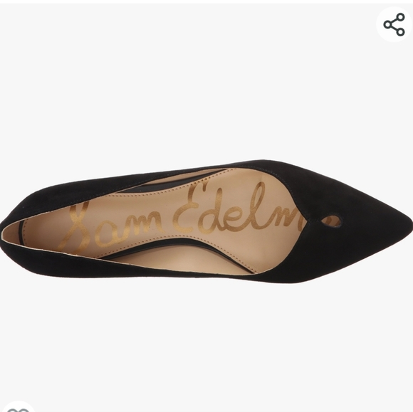 ๐ 2X HOST PICK ๐ Sam Eldman Pointy Toe Ballerina Flats - Picture 10 of 15